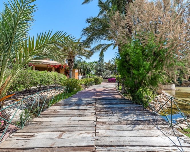 Image No.17-Villa de 5 chambres à vendre à Elche