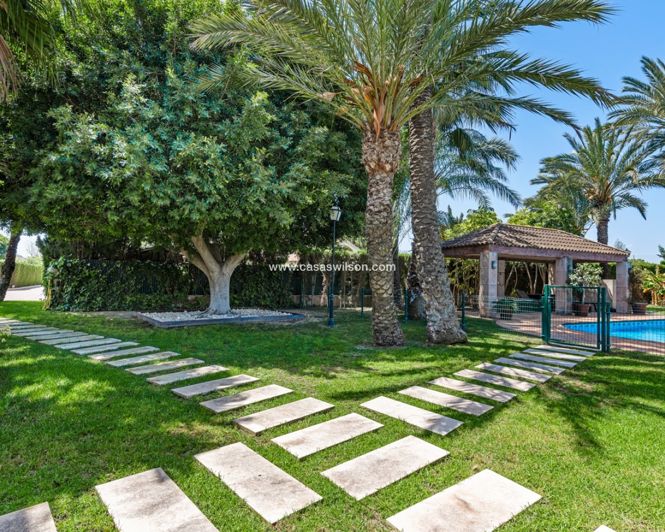 Image No.43-Villa de 5 chambres à vendre à Elche