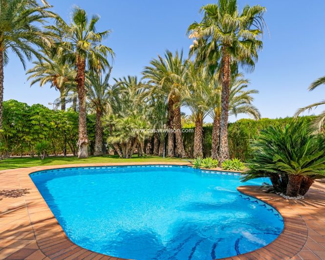 Image No.45-Villa de 5 chambres à vendre à Elche