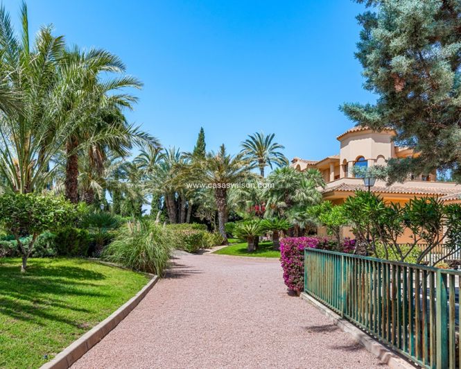 Image No.7-Villa de 5 chambres à vendre à Elche