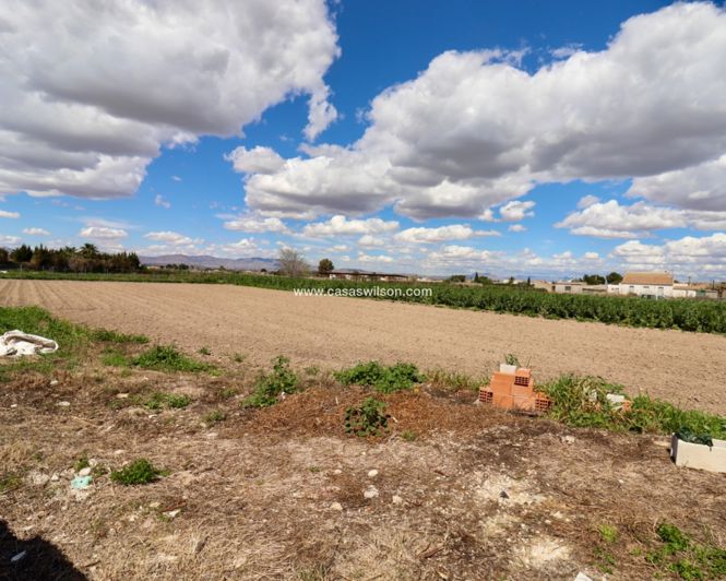 Image No.28-Propriété de 3 chambres à vendre à Dolores