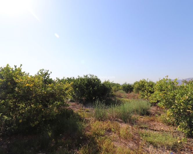 Image No.17-Propriété de 2 chambres à vendre à Albatera