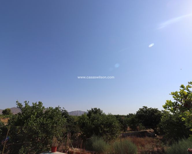 Image No.19-Propriété de 2 chambres à vendre à Albatera