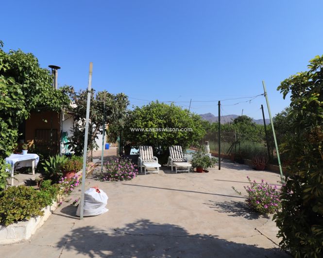 Image No.22-Propriété de 2 chambres à vendre à Albatera