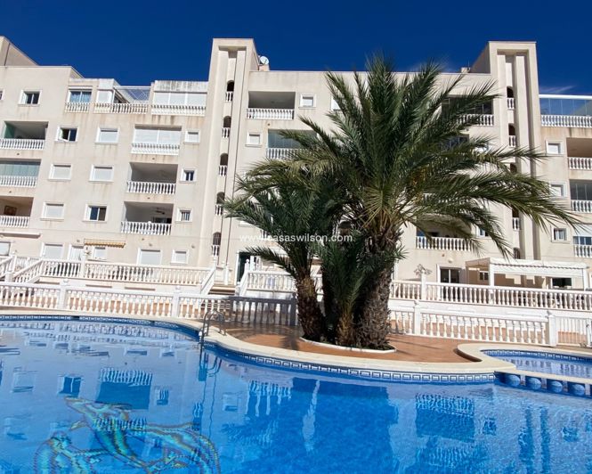 Image No.46-Appartement de 4 chambres à vendre à Guardamar del Segura