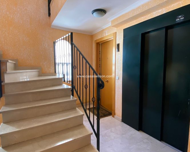 Image No.7-Appartement de 4 chambres à vendre à Guardamar del Segura