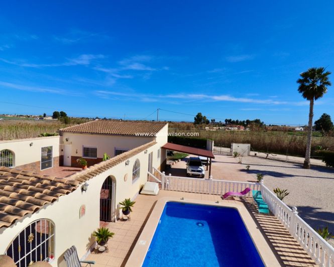 Image No.22-Propriété de 5 chambres à vendre à Catral