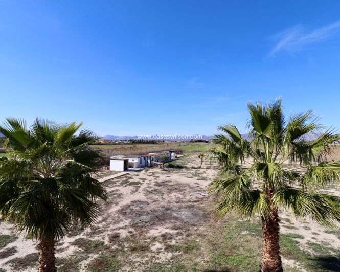 Image No.23-Propriété de 5 chambres à vendre à Catral