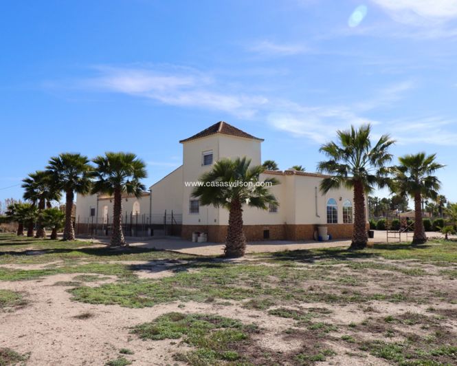 Image No.46-Propriété de 5 chambres à vendre à Catral