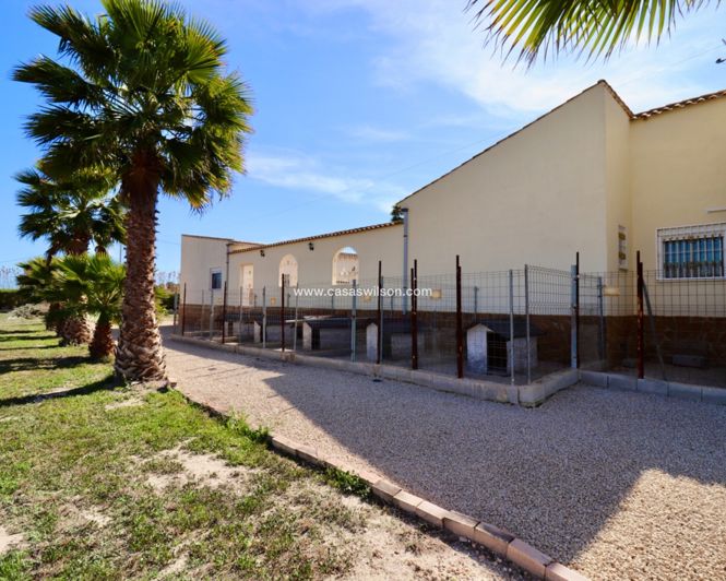 Image No.47-Propriété de 5 chambres à vendre à Catral