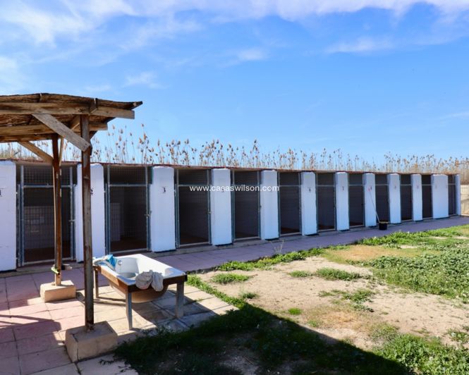 Image No.48-Propriété de 5 chambres à vendre à Catral