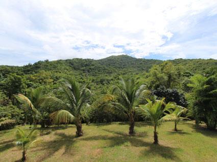 Image No.17-2 Bed Villa for sale