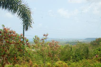 Image No.29-5 Bed House/Villa for sale