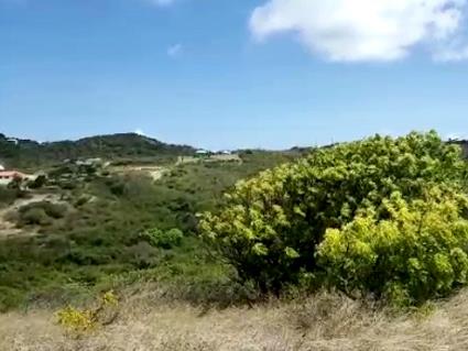 Image No.5-Terre à vendre à Willoughby Bay