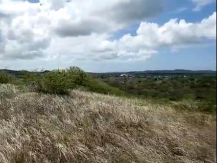 Image No.6-Terre à vendre à Willoughby Bay