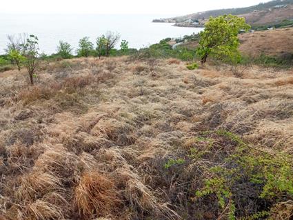 Image No.11-Terre à vendre à Willoughby Bay