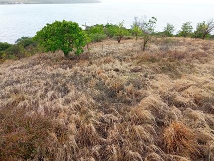 Image No.13-Terre à vendre à Willoughby Bay