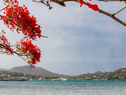 Image No.15-Terre à vendre à Falmouth