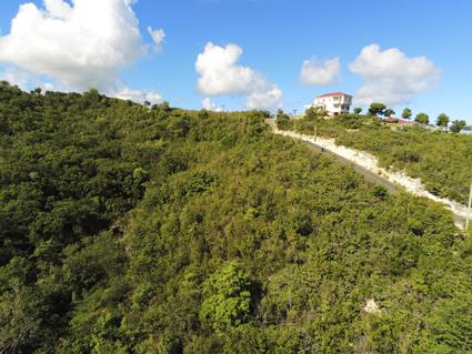 Image No.4-Terre à vendre à Antigua-et-Barbuda