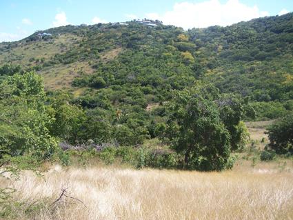 Image No.11-Terre à vendre à Willoughby Bay