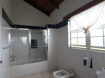 Image No.24-4 Bed Mansion for sale