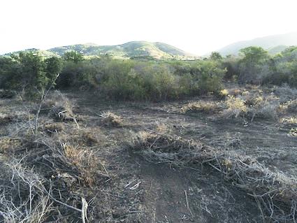 Image No.6-Terre à vendre à Saint Mary