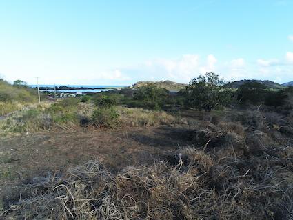 Image No.2-Terre à vendre à Saint Mary