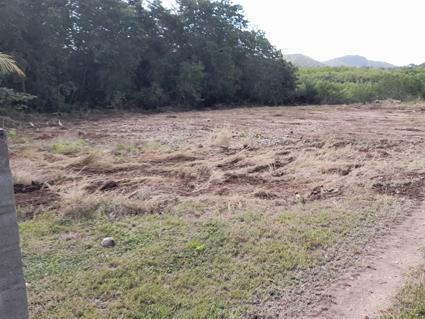 Image No.5-Land for sale