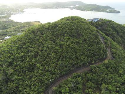 Image No.12-Terre à vendre à Falmouth