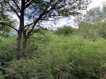 Image No.12-Land for sale