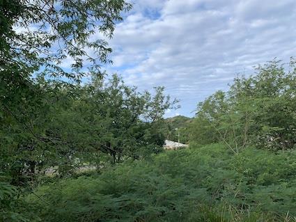 Image No.13-Land for sale