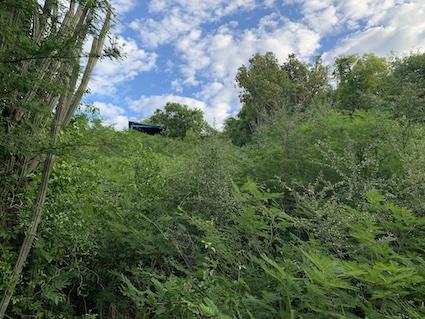 Image No.14-Land for sale