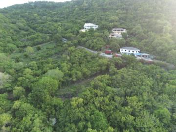 152-Horsford-12JPG-copy