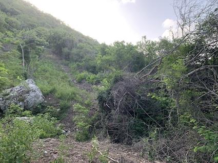 Image No.14-Land for sale