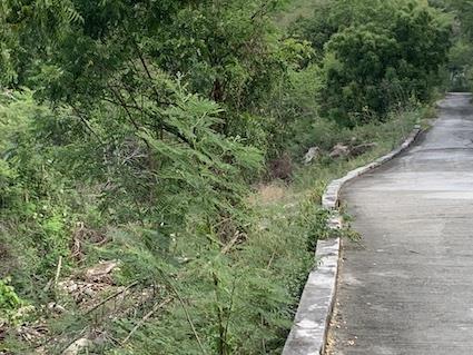 Image No.17-Land for sale