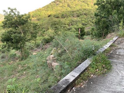 Image No.20-Land for sale