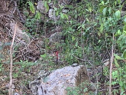 Image No.19-Land for sale