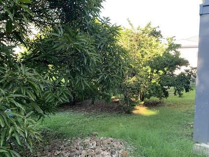 Image No.33-Maison de 3 chambres à vendre à Antigua-et-Barbuda