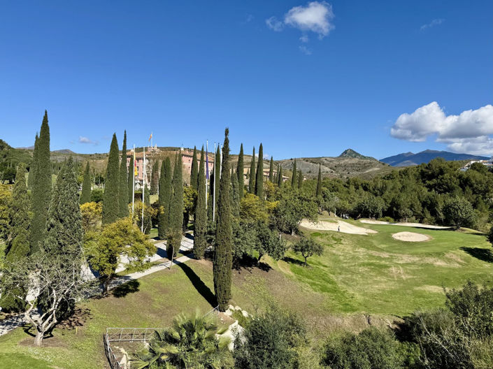 Image No.31-Penthouse de 3 chambres à vendre à Los Flamingos