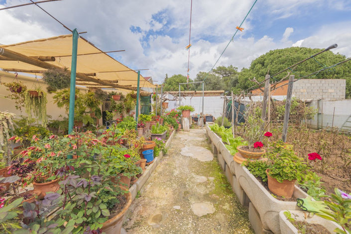 Image No.14-Villa de 3 chambres à vendre à Las Chapas