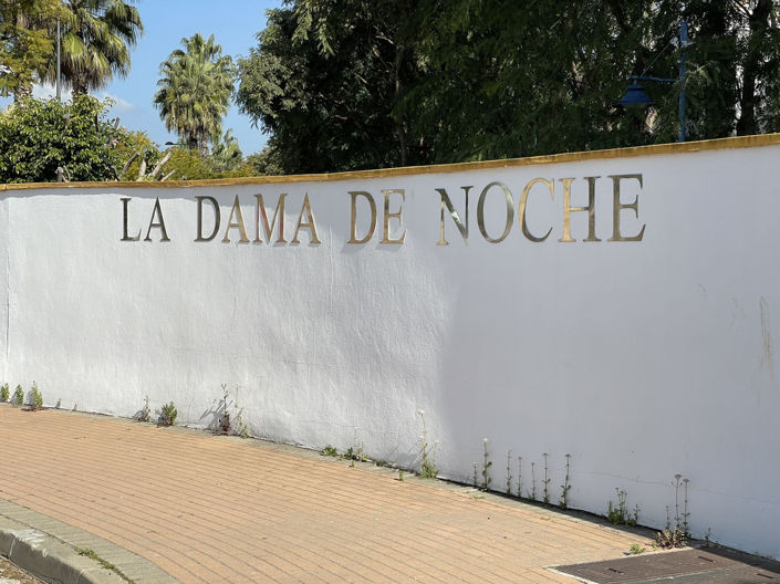 Image No.26-2 Bed Penthouse for sale