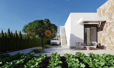 03-HUERTO-NARANJO_01