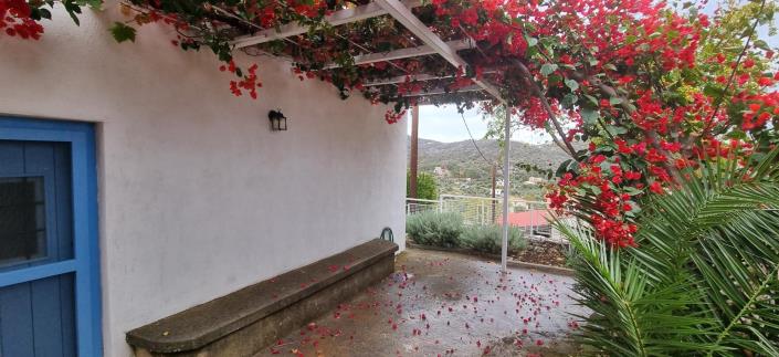 Image No.15-1 Bed House for sale