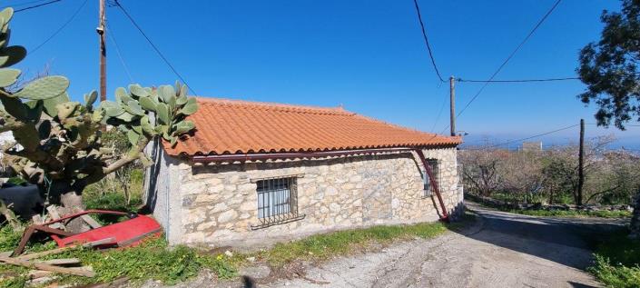 Image No.3-1 Bed House for sale