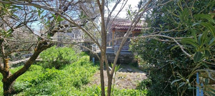 Image No.10-1 Bed House for sale