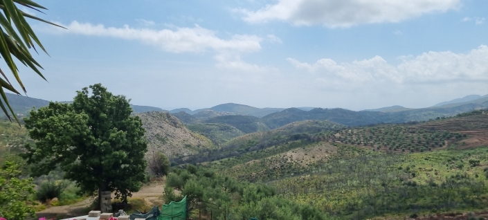 Image No.8-Maison de 2 chambres à vendre à Gytheio