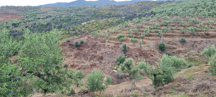 Image No.13-Maison de 2 chambres à vendre à Gytheio