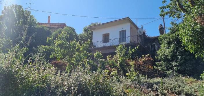 Image No.8-Maison de 4 chambres à vendre à Derveni