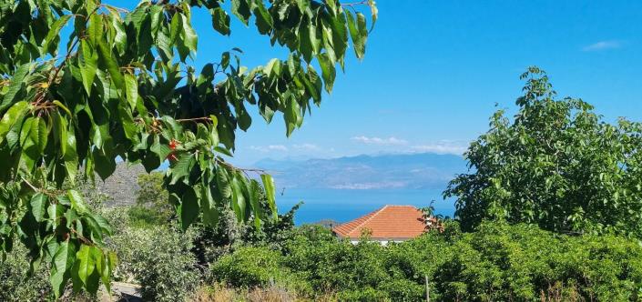 Image No.10-Maison de 4 chambres à vendre à Derveni