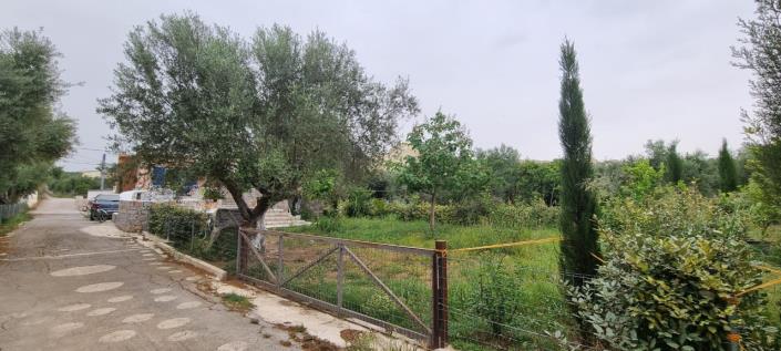 Image No.8-2 Bed House for sale